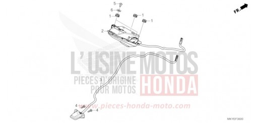 FEU ARRIERE/FEU D'IMMATRICULATION CB650RAR de 2025